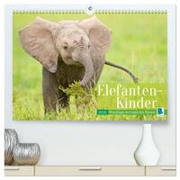 Elefanten Kinder: Winzlinge im Land der Riesen (hochwertiger Premium Wandkalender 2026 DIN A2 quer), Kunstdruck in Hochglanz