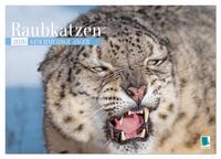 Raubkatzen: Geschmeidige Jäger (Wandkalender 2026 DIN A3 quer), CALVENDO Monatskalender
