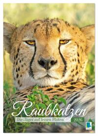 Raubkatzen: Die Jäger auf leisen Pfoten (Tischkalender 2026 DIN A5 hoch), CALVENDO Monatskalender