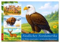 Niedliches Nordamerika (Wandkalender 2026 DIN A4 quer), CALVENDO Monatskalender