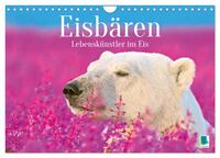 Eisbären: Lebenskünstler im Eis (Wandkalender 2026 DIN A4 quer), CALVENDO Monatskalender