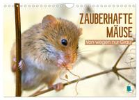 Zauberhafte Mäuse: Von wegen nur Grau (Wandkalender 2026 DIN A4 quer), CALVENDO Monatskalender