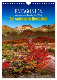 Patagonien, die schönsten Reiseziele: Wildnis am Rande der Welt (Wandkalender 2026 DIN A4 hoch), CALVENDO Monatskalender