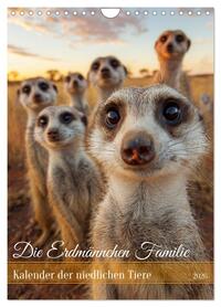 Die Erdmännchen Familie - Kalender der niedlichen Tiere (Wandkalender 2026 DIN A4 hoch), CALVENDO Monatskalender