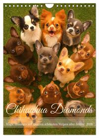 Chihuahua Diamonds – Magic Moments mit unseren schönsten Welpen aller Zeiten (Wandkalender 2026 DIN A4 hoch), CALVENDO Monatskalender