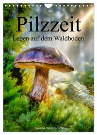 Pilzzeit - Leben auf dem Waldboden (Wandkalender 2027 DIN A4 hoch), CALVENDO Monatskalender