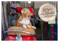 Katzen von Rhodos - Kleine Götter auf vier Pfoten (Wandkalender 2027 DIN A4 quer), CALVENDO Monatskalender