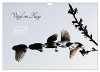 Vögel im Fluge (Wandkalender 2027 DIN A4 quer), CALVENDO Monatskalender