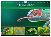 Chamäleon - exotisches Reptil (Wandkalender 2027 DIN A4 quer), CALVENDO Monatskalender