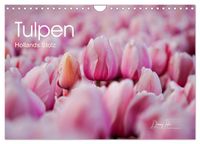 Tulpen - Hollands Stolz (Wandkalender 2027 DIN A4 quer), CALVENDO Monatskalender