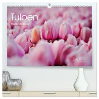 Tulpen - Hollands Stolz (hochwertiger Premium Wandkalender 2027 DIN A2 quer), Kunstdruck in Hochglanz