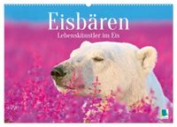 Eisbären: Lebenskünstler im Eis (Wandkalender 2027 DIN A2 quer), CALVENDO Monatskalender
