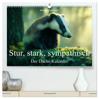 Stur, stark, sympathisch - Der Dachs - Kalender (hochwertiger Premium Wandkalender 2027 DIN A2 quer), Kunstdruck in Hochglanz
