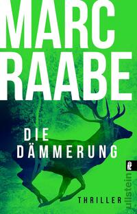 Die Dämmerung (Art Mayer-Serie 2)