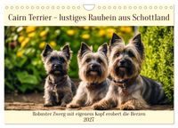 Cairn Terrier - lustiges Raubein aus Schottland (Wandkalender 2027 DIN A4 quer), CALVENDO Monatskalender