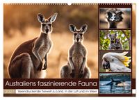 Australiens faszinierende Fauna (Wandkalender 2027 DIN A2 quer), CALVENDO Monatskalender