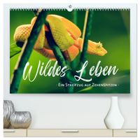 Wildes Leben - Ein Streifzug auf Zehenspitzen (hochwertiger Premium Wandkalender 2027 DIN A2 quer), Kunstdruck in Hochglanz