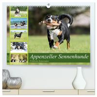 Appenzeller Sennenhunde - Fröhliche Kameraden (hochwertiger Premium Wandkalender 2027 DIN A2 quer), Kunstdruck in Hochglanz
