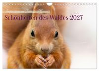 Schönheiten des Waldes (Wandkalender 2027 DIN A4 quer), CALVENDO Monatskalender