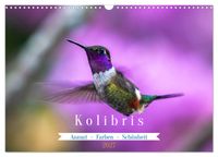 Kolibris; Anmut, Schönheit, Farben (Wandkalender 2027 DIN A3 quer), CALVENDO Monatskalender