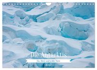 Die Antarktis - Eis, Meer und wilde Tiere (Wandkalender 2027 DIN A4 quer), CALVENDO Monatskalender