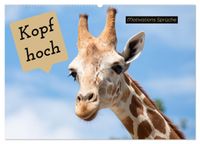 Kopf hoch Motivations Sprüche (Wandkalender 2027 DIN A2 quer), CALVENDO Monatskalender