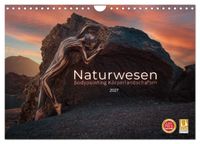 Naturwesen - Bodypainting Körperlandschaften (Wandkalender 2027 DIN A4 quer), CALVENDO Monatskalender