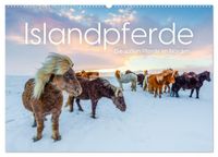 Islandpferde - Die süßen Pferde im Norden. (Wandkalender 2027 DIN A2 quer), CALVENDO Monatskalender