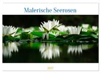 Malerische Seerosen (Wandkalender 2027 DIN A2 quer), CALVENDO Monatskalender
