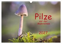 Pilze vor der Makrolinse 2027 (Wandkalender 2027 DIN A3 quer), CALVENDO Monatskalender