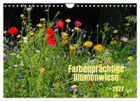 Farbenprächtige Blumenwiese (Wandkalender 2027 DIN A4 quer), CALVENDO Monatskalender
