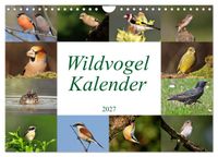 Wildvogelkalender (Wandkalender 2027 DIN A4 quer), CALVENDO Monatskalender