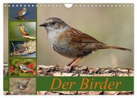 Der Birder (Wandkalender 2027 DIN A4 quer), CALVENDO Monatskalender