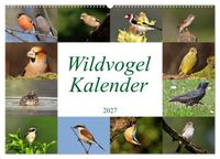 Wildvogelkalender (Wandkalender 2027 DIN A2 quer), CALVENDO Monatskalender