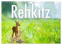 Rehkitz - Flinke kleine Bambis. (Wandkalender 2027 DIN A4 quer), CALVENDO Monatskalender