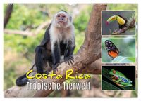 Costa Rica - Tropische Tierwelt (Wandkalender 2027 DIN A2 quer), CALVENDO Monatskalender