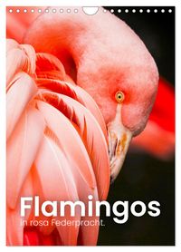 Flamingos in rosa Federpracht. (Wandkalender 2027 DIN A4 hoch), CALVENDO Monatskalender