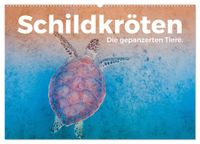 Schildkröten - Die gepanzerten Tiere. (Wandkalender 2027 DIN A2 quer), CALVENDO Monatskalender