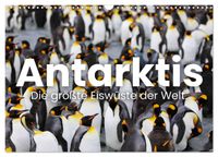 Antarktis - Die größte Eiswüste der Welt. (Wandkalender 2027 DIN A3 quer), CALVENDO Monatskalender