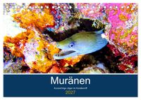 Muränen - Kurzsichtige Jäger im Korallenriff (Tischkalender 2027 DIN A5 quer), CALVENDO Monatskalender