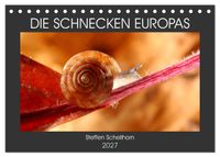 DIE SCHNECKEN EUROPAS (Tischkalender 2027 DIN A5 quer), CALVENDO Monatskalender