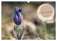 Frühlingsblüher - Farbenpracht nach dem Winter (Wandkalender 2027 DIN A3 quer), CALVENDO Monatskalender