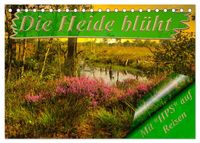 Die Heide blüht (Tischkalender 2027 DIN A5 quer), CALVENDO Monatskalender
