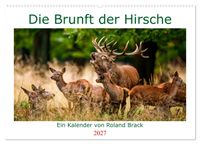 Die Brunft der Hirsche (Wandkalender 2027 DIN A2 quer), CALVENDO Monatskalender