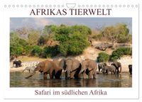 Afrikas Tierwelt, Safari im südlichen Afrika (Wandkalender 2027 DIN A4 quer), CALVENDO Monatskalender