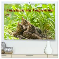 Amselnest mit Vollpension (hochwertiger Premium Wandkalender 2027 DIN A2 quer), Kunstdruck in Hochglanz