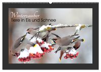 Winterzauber - Tiere in Eis und Schnee (Wandkalender 2027 DIN A2 quer), CALVENDO Monatskalender