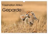 Faszinaton Afrika: Geparde (Wandkalender 2027 DIN A3 quer), CALVENDO Monatskalender