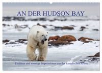AN DER HUDSON BAY (Wandkalender 2027 DIN A2 quer), CALVENDO Monatskalender