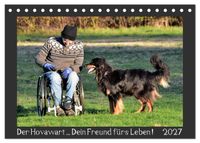 Der Hovawart... Dein Freund fürs Leben! (Tischkalender 2027 DIN A5 quer), CALVENDO Monatskalender